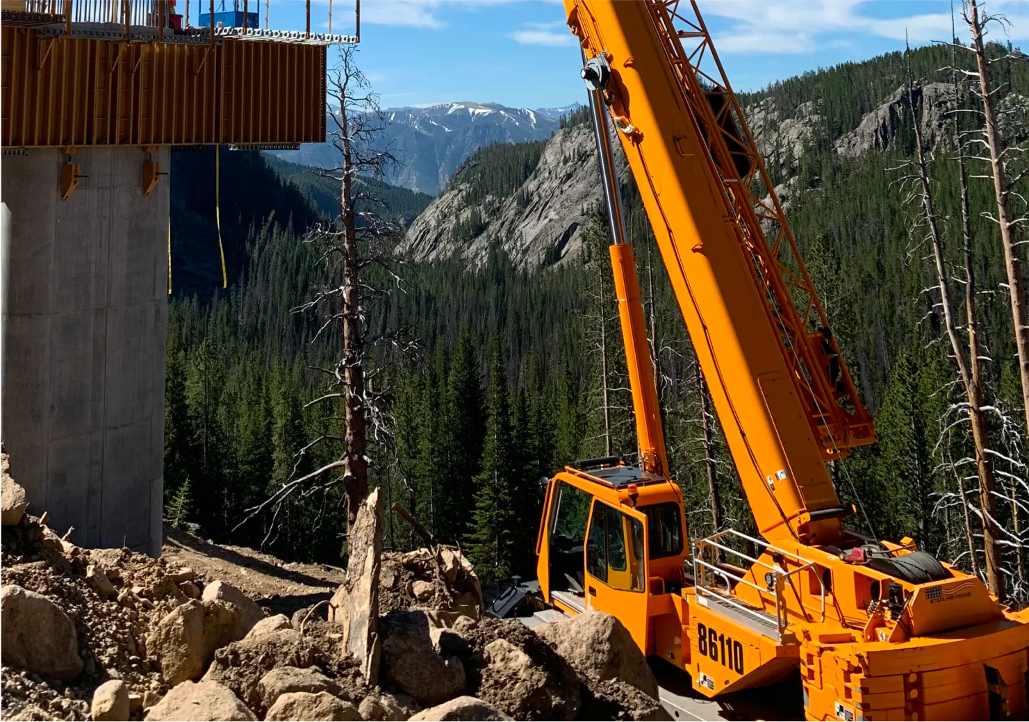 there is a crane that is sitting on a pile of rocks