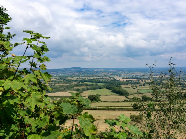 Picture of Bucks County