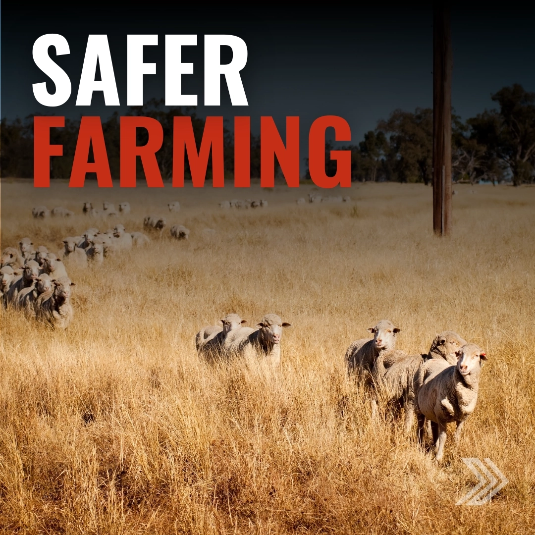 Click here for a safer farming ad with sheep grazing in a golden field under a clear sky.
