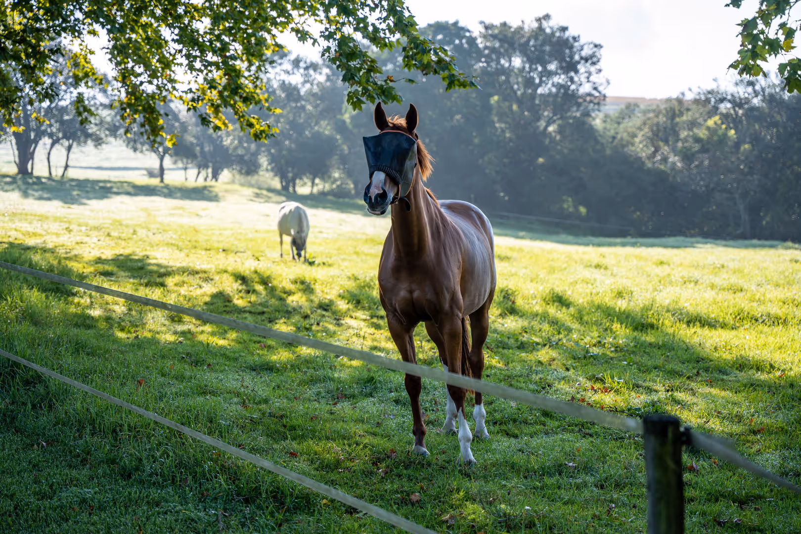 WWXTri at Prime View - Fun and Fitness around Swim, Bike and Run Events