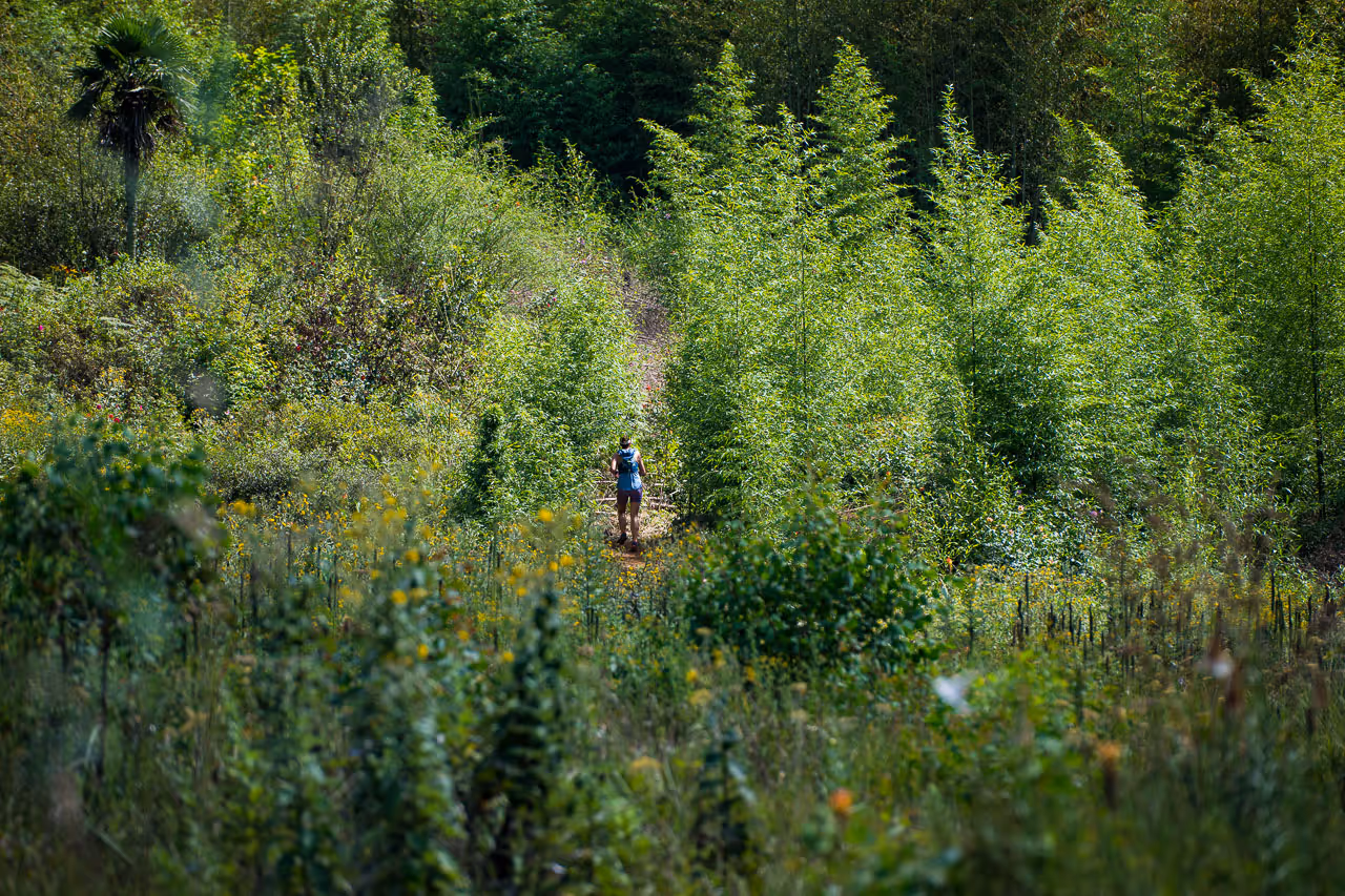 WWXTri at Prime View - Fun and Fitness around Swim, Bike and Run Events