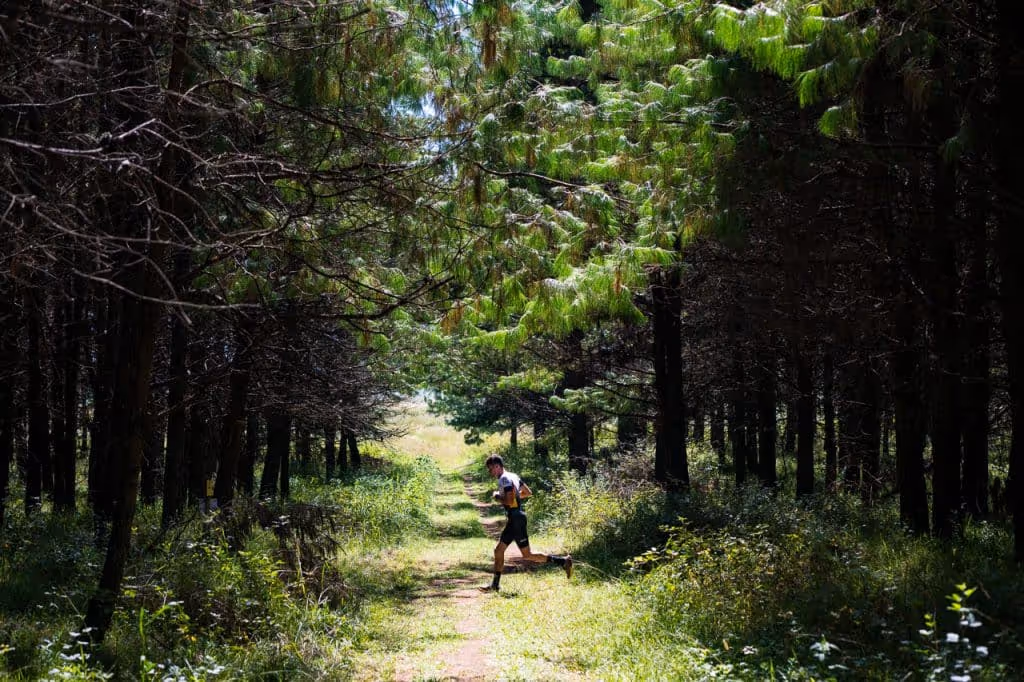 The Beautiful Karkloof Trails On The Ww X Tri 15Km Trail Run
