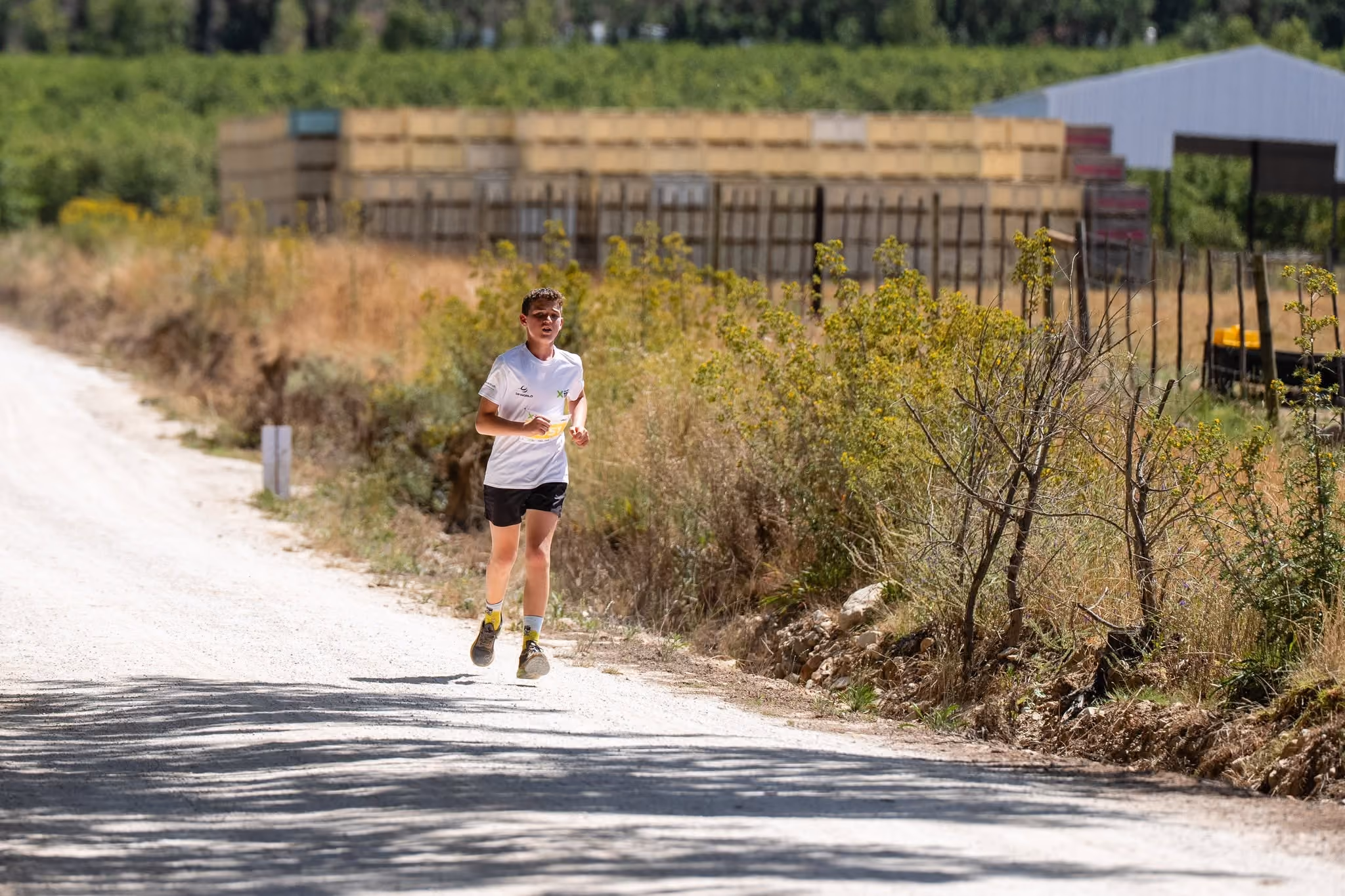 WWXTri at Prime View - Fun and Fitness around Swim, Bike and Run Events