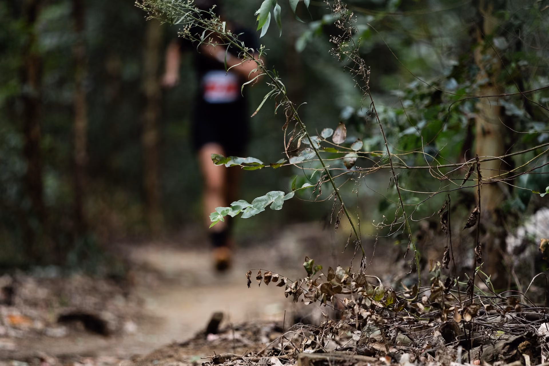 WWXTri at Prime View - Fun and Fitness around Swim, Bike and Run Events