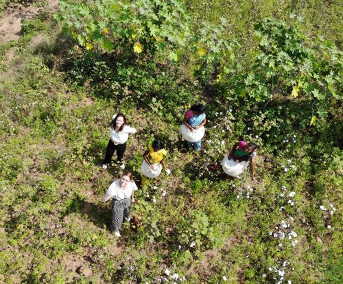 Laure Betsch and Camille Le Gal in cotton fields in India, standing alongside local workers.
