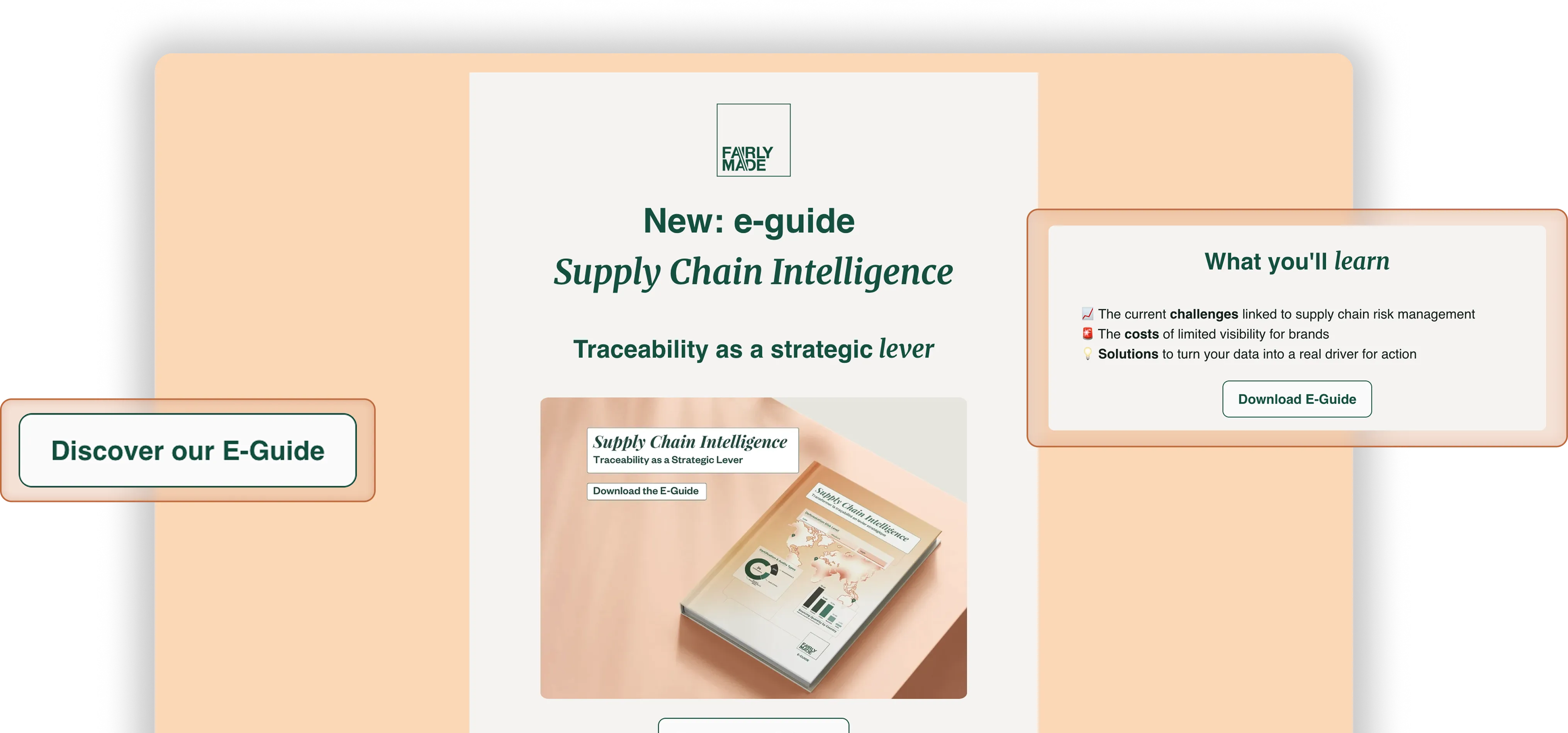 Impact in Sight newsletter overview — Fairly Made