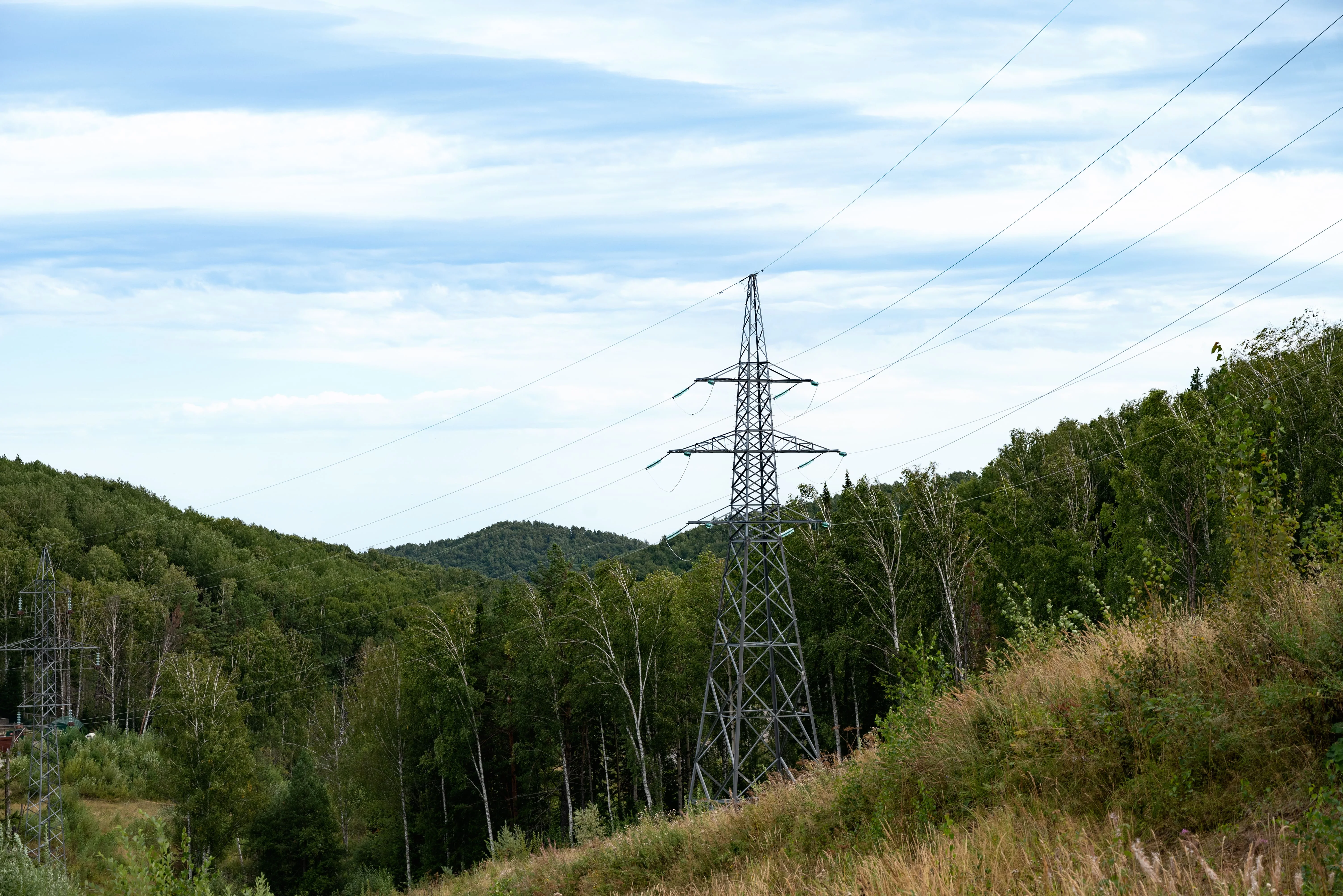 Automated vegetation management near power grids