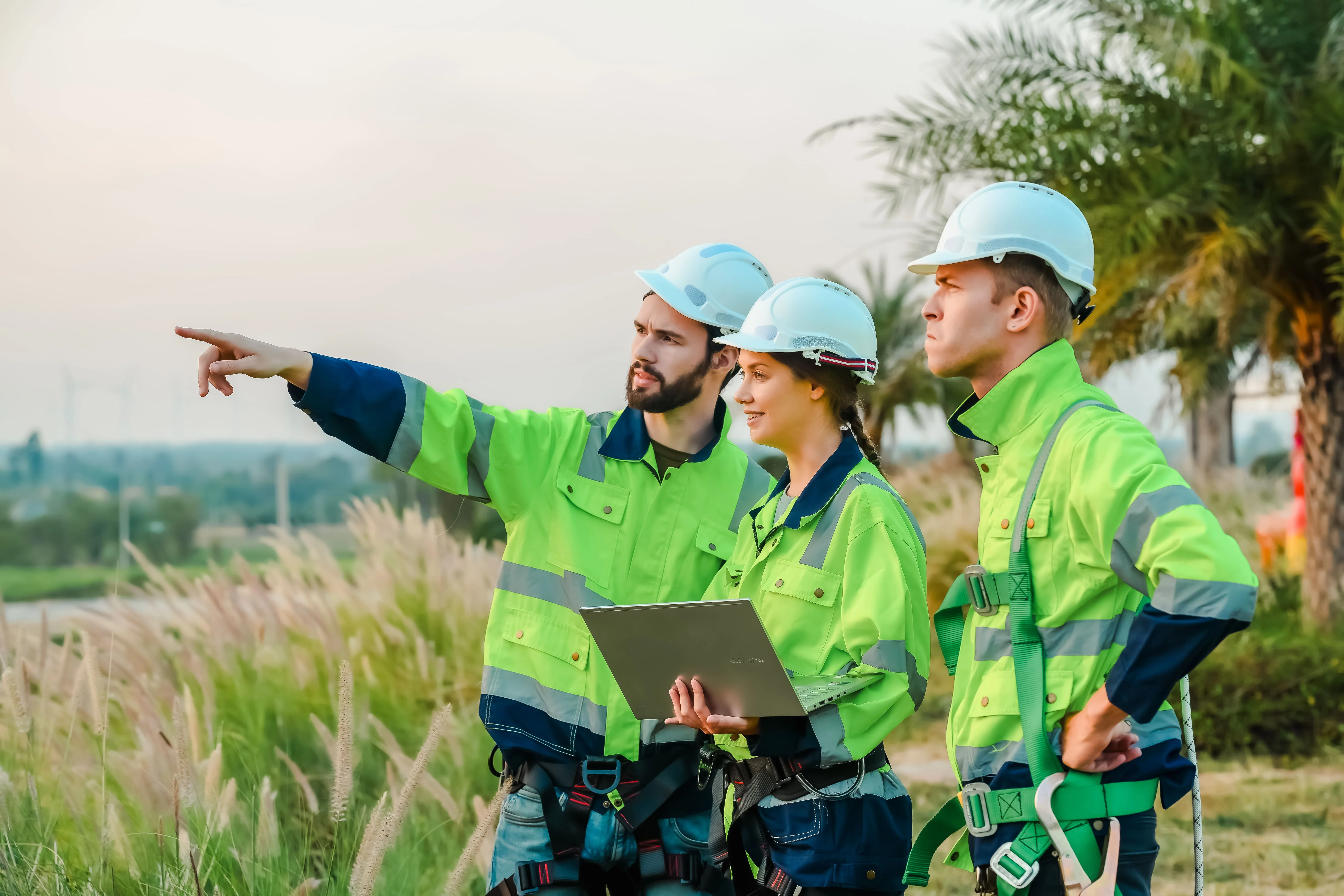 Utility workers performing vegetation management wearing safety helmets, harnesses, and protective gear to ensure safety during fieldwork 
