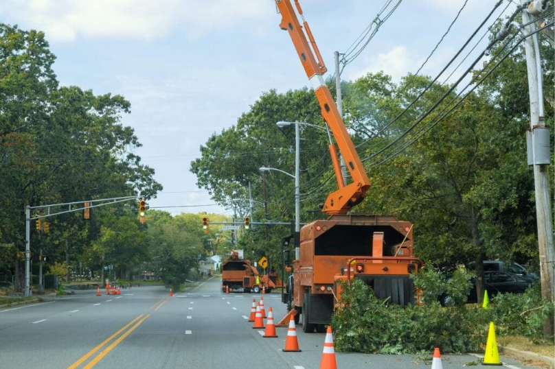 Vegetation, when left unmanaged, is a threat to the power grid. Falling branches and trees can take down power lines, and roots can damage underground cables. Overgrowth near energized power lines can spark wildfires. Source: KYRO AI