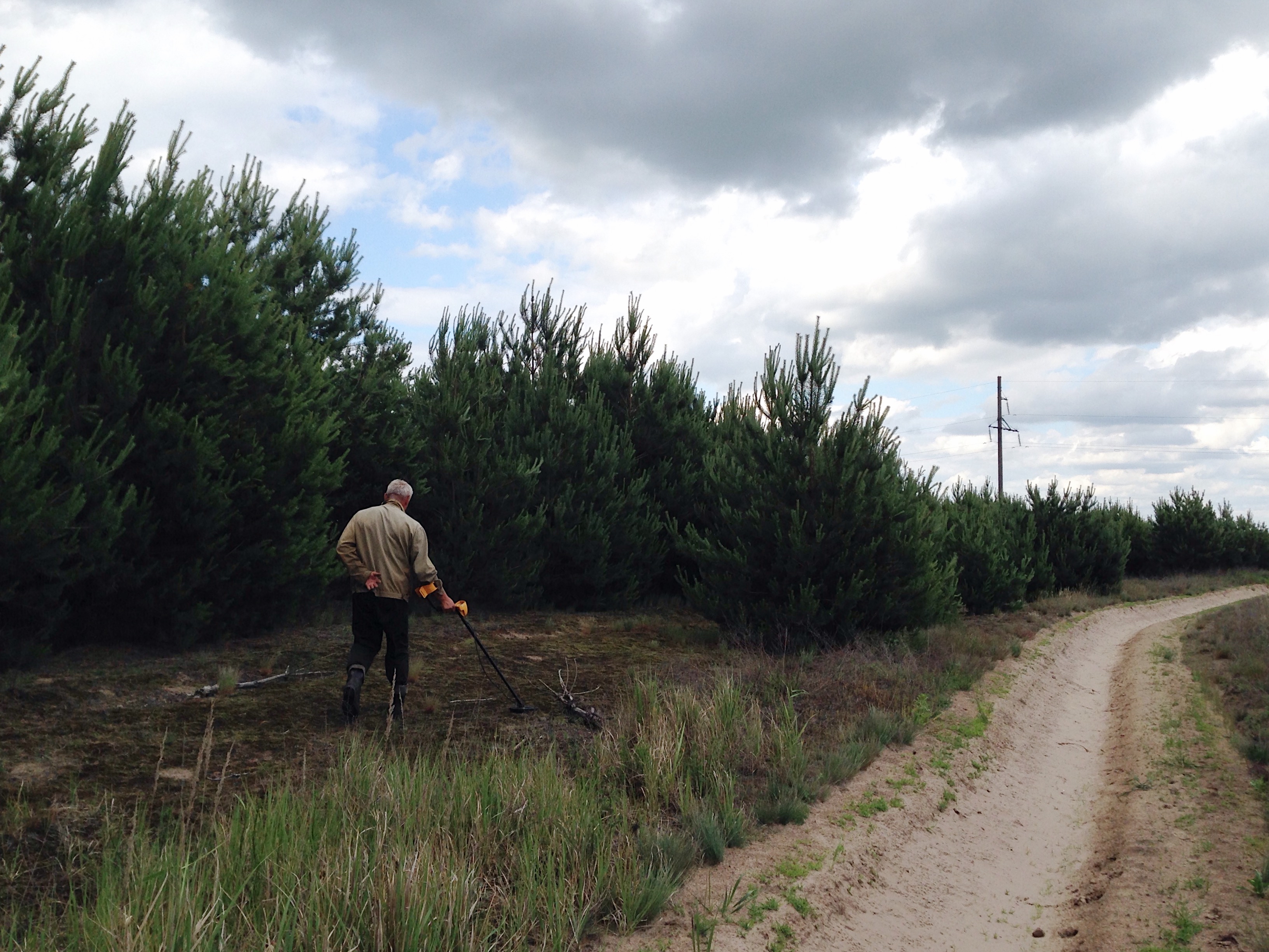 Safety in vegetation management near utilities