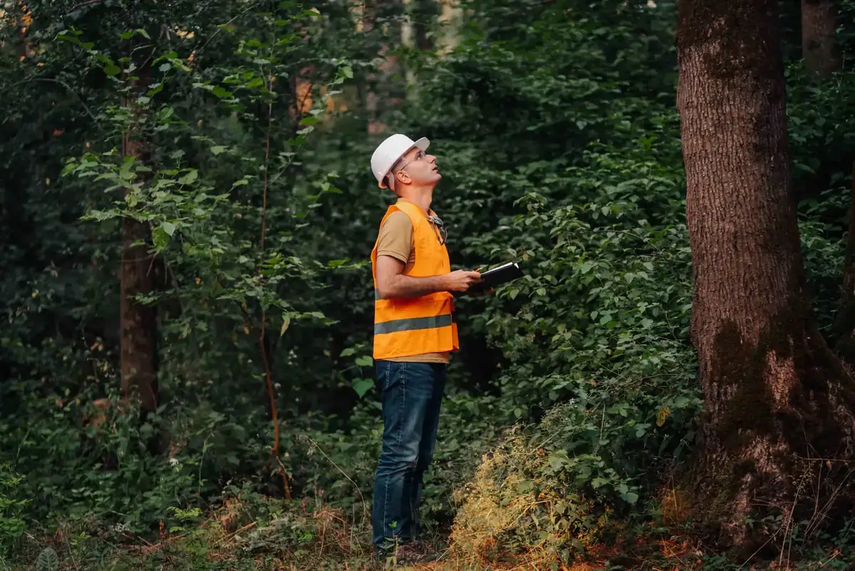 Challenges in Utility Vegetation Management & How Software Helps