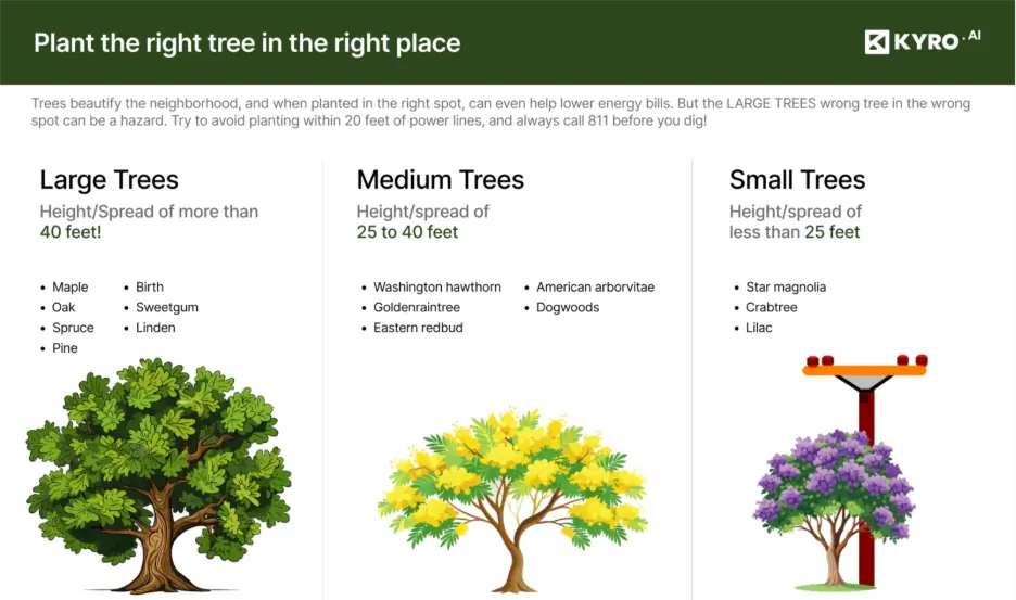 Safe tree planting distances and suitable tree types to prevent hazards near power lines  