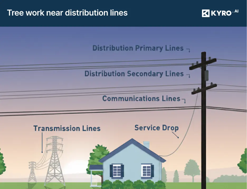 Vegetation management zones around utility transmission power lines, including Wire Zone with no trees, Border Zone with small shrubs, and Outer Zone with limited tree height  