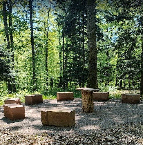 foret sanctuaire sommerau allenwiller