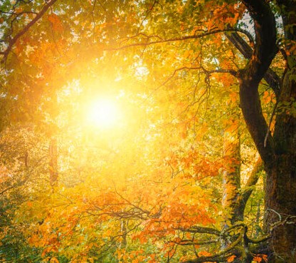 décès marcel lucien reymund akene strasbourg