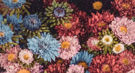 Marie Elisabeth Gingreau Boos décès Brumath Akène Strasbourg