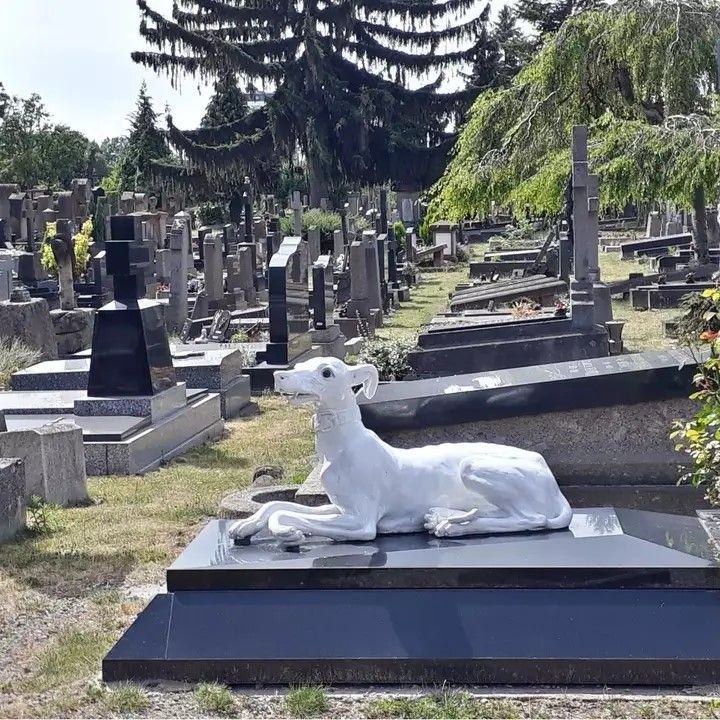 gouter mortel musée art moderne strasbourg akene