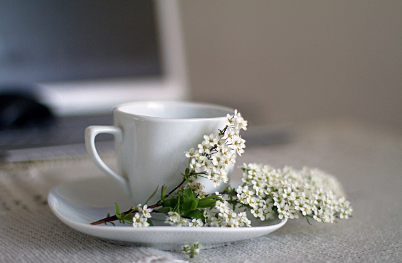 café deuil akène strasbourg tasse et fleurs blanches