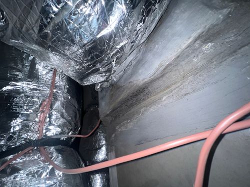 Mold on Air Duct