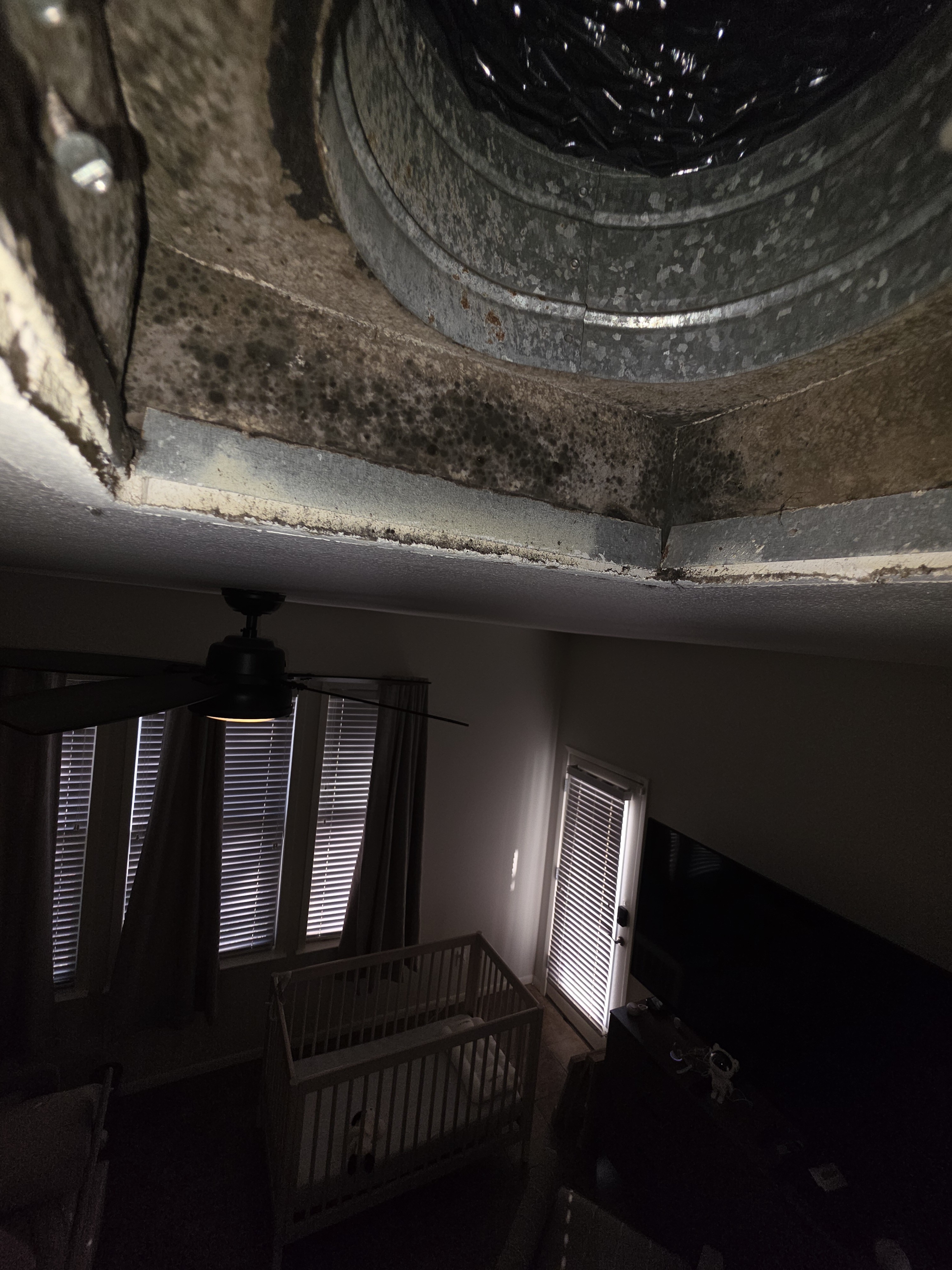 mold on vents