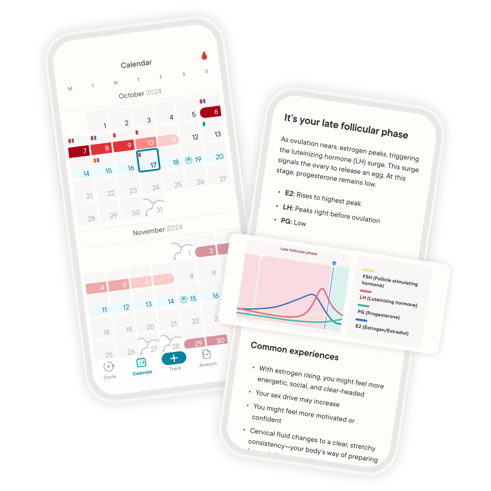 There's two phones showing features of the Clue app. On the left the calendar view is shown and on the right the information about the cycle phases is shown.