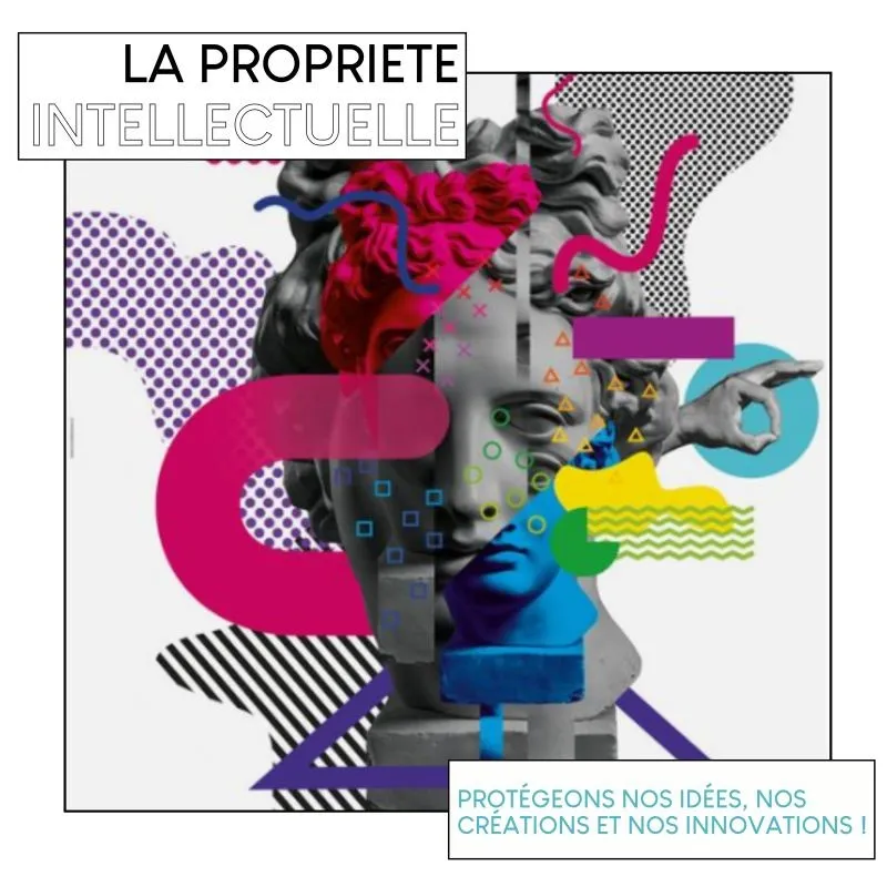 LA PROPRIETE INTELLECTUELLE