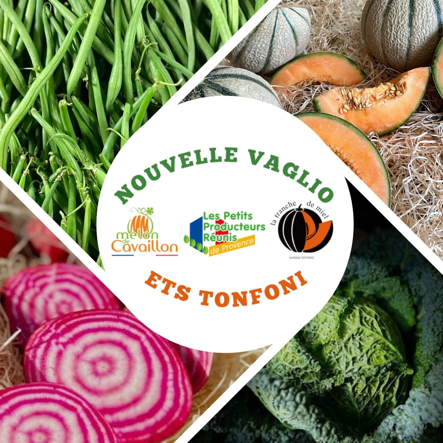 NOUVELLE VAGLIO & ETS TONFONI 