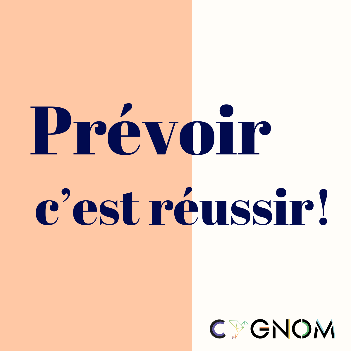 LE BUDGET PREVISIONNEL 