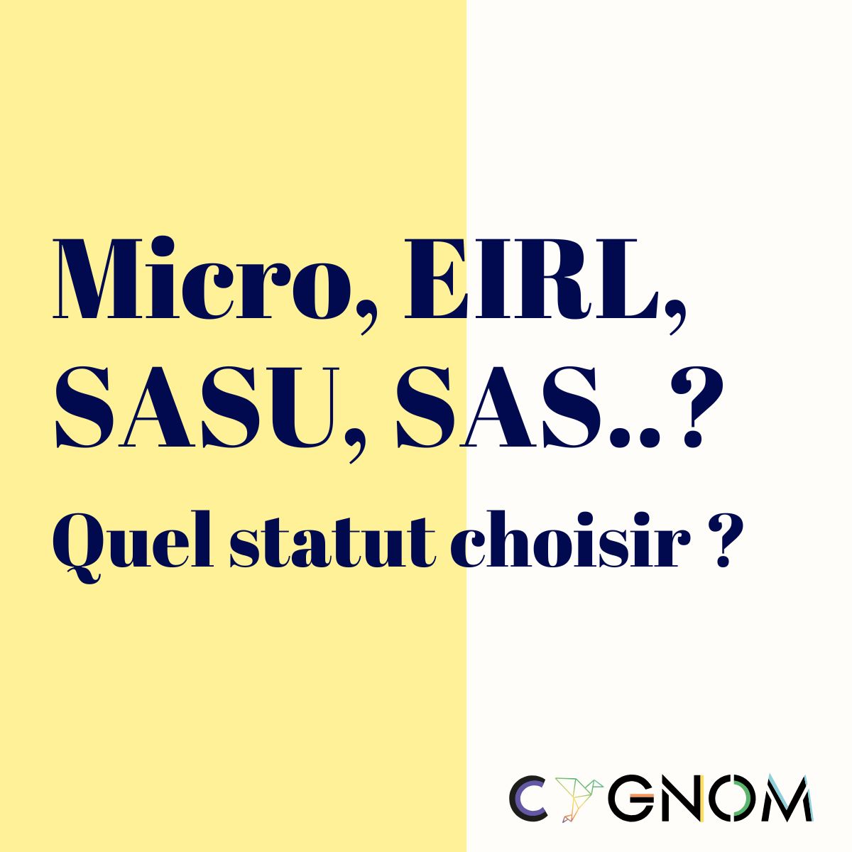 Micro entreprise, SARL, EIRL .. 