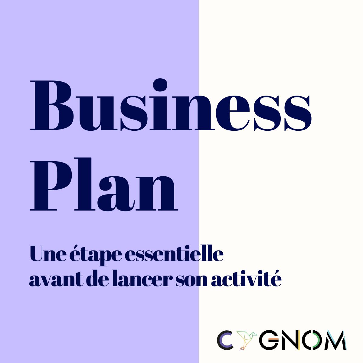 Business plan 