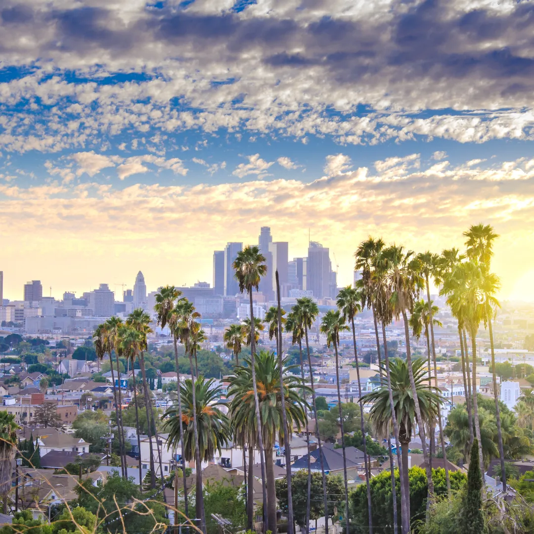 Los Angeles skyline at sunset with palm trees
