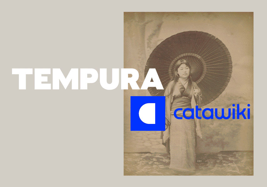 Vente Tempura x Catawiki