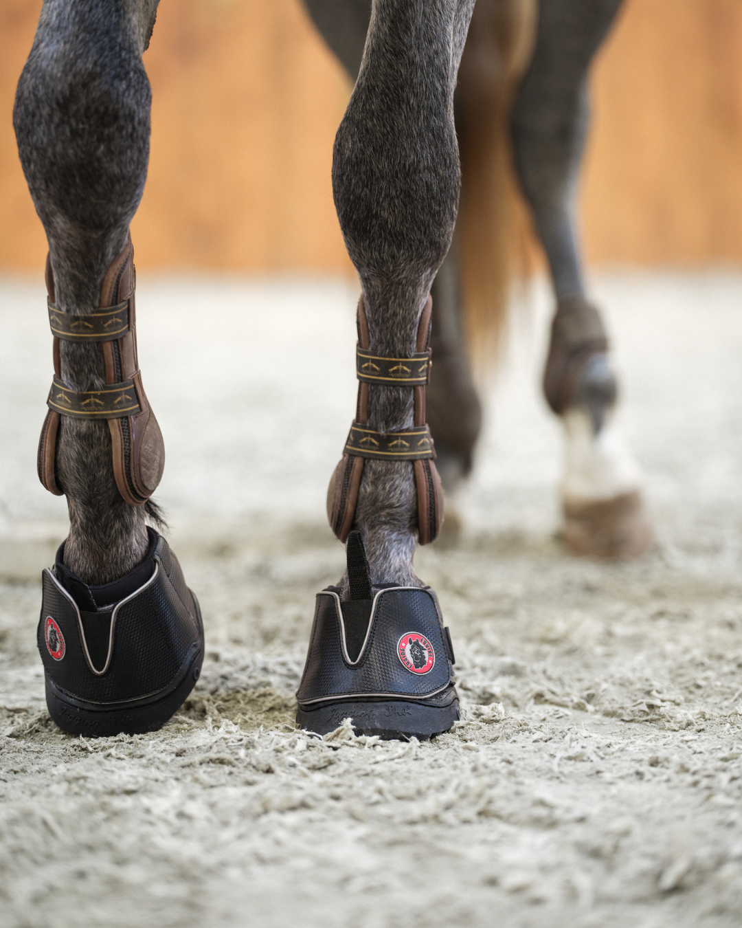 Active Jogging Shoe worn by horse