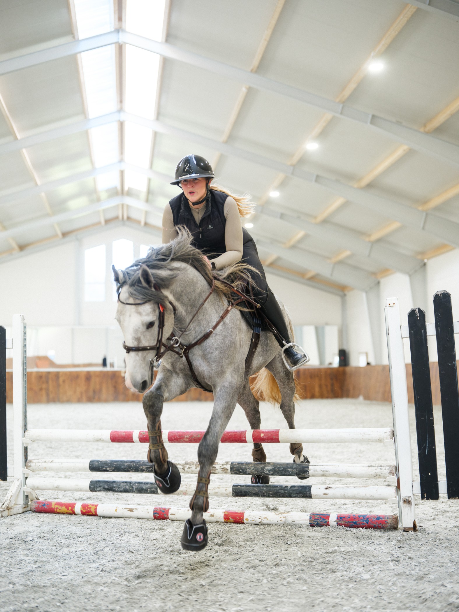 Horse jumping in Active Jogging Shoes