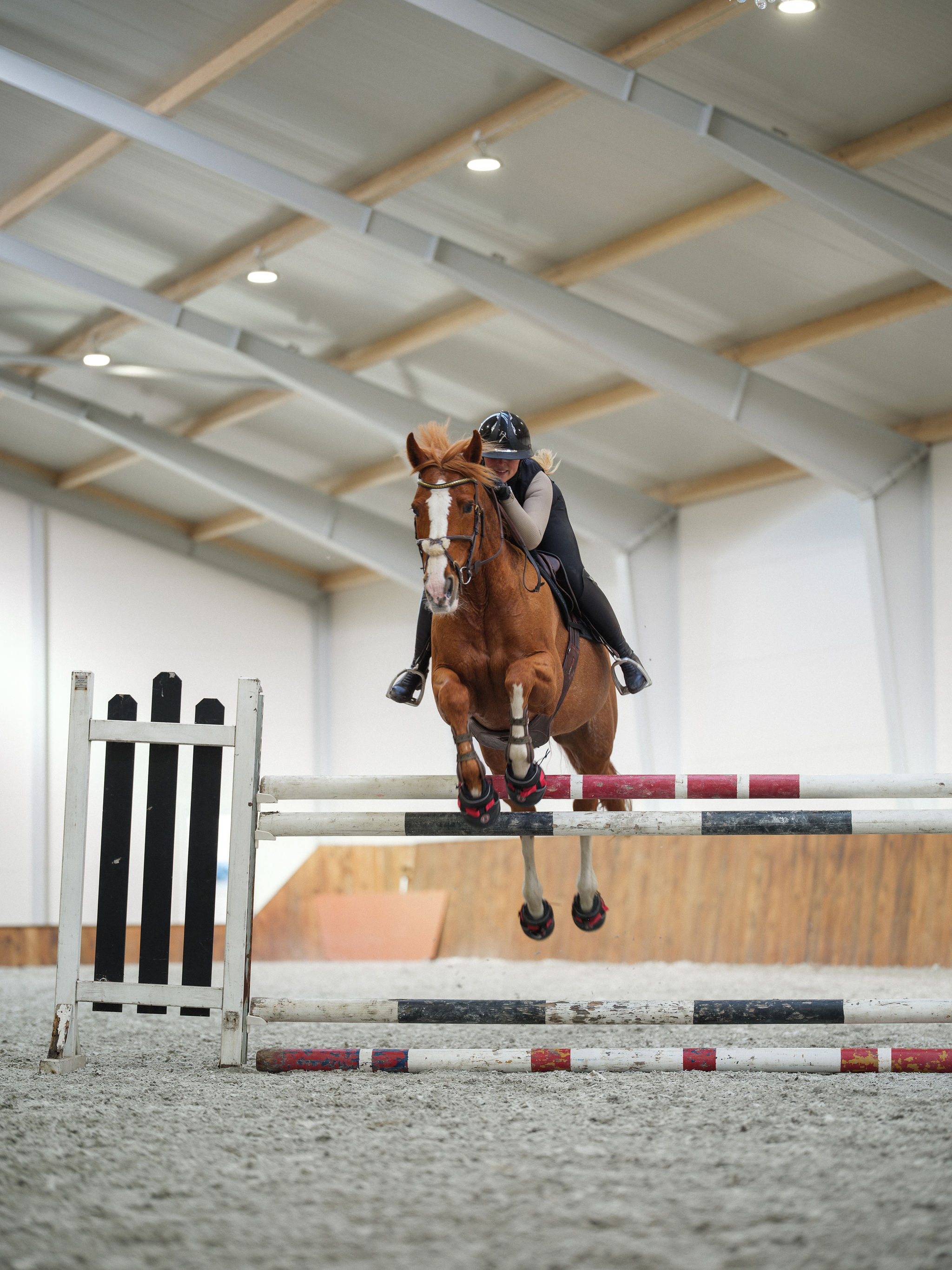 Horse jumping in Ultra