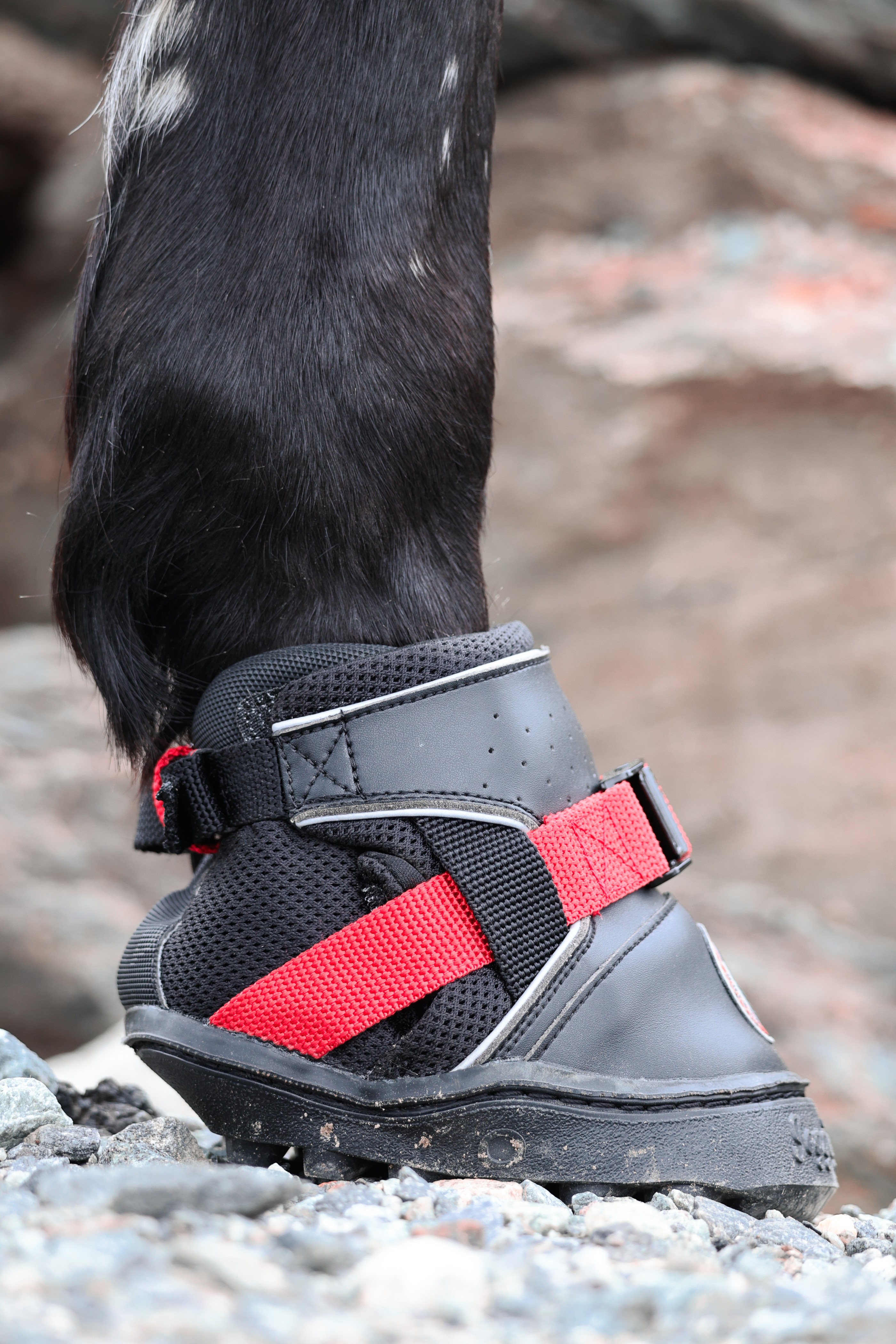 Ultra Jogging Shoe close-up