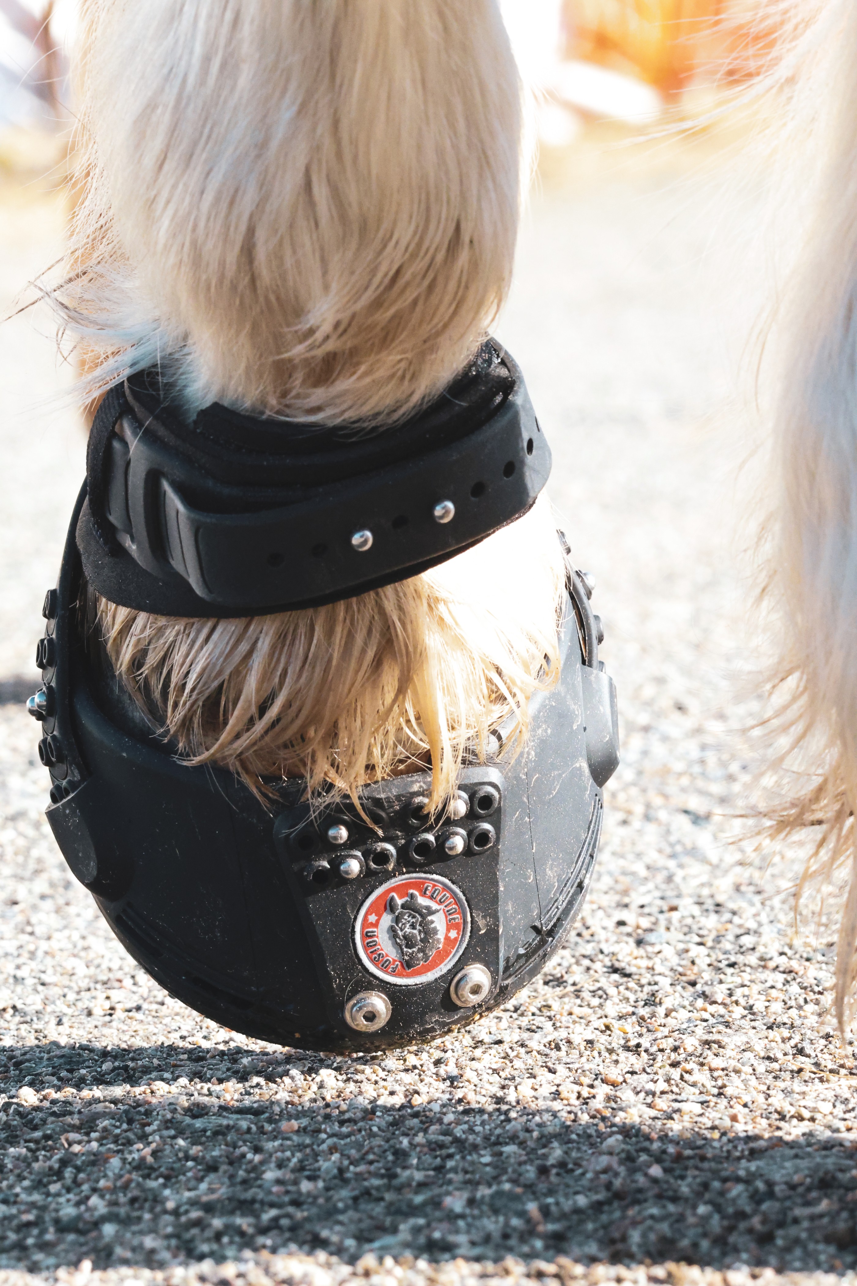 Trailblazer adaptable hoof fit