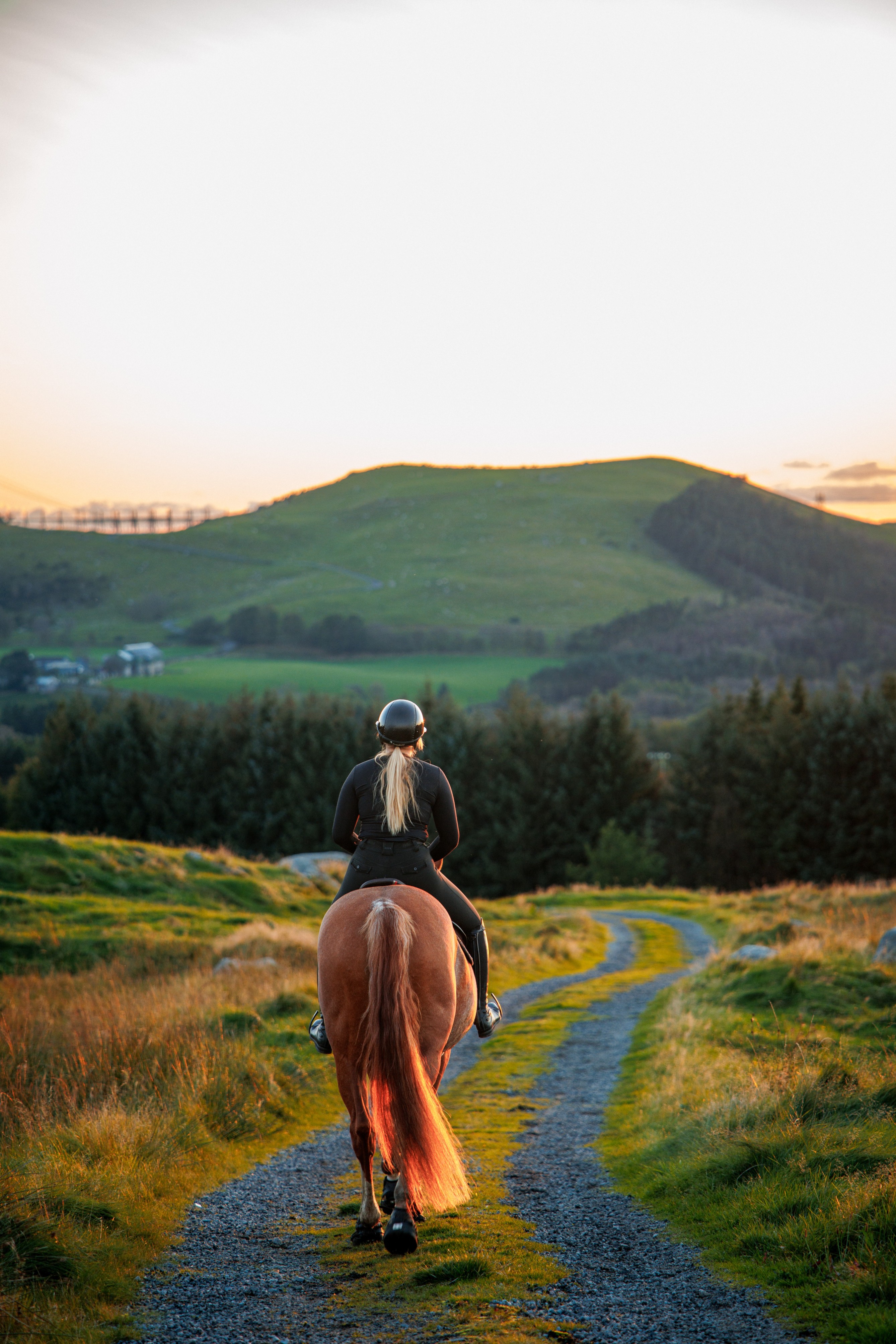 Trailblazer riding lifestyle