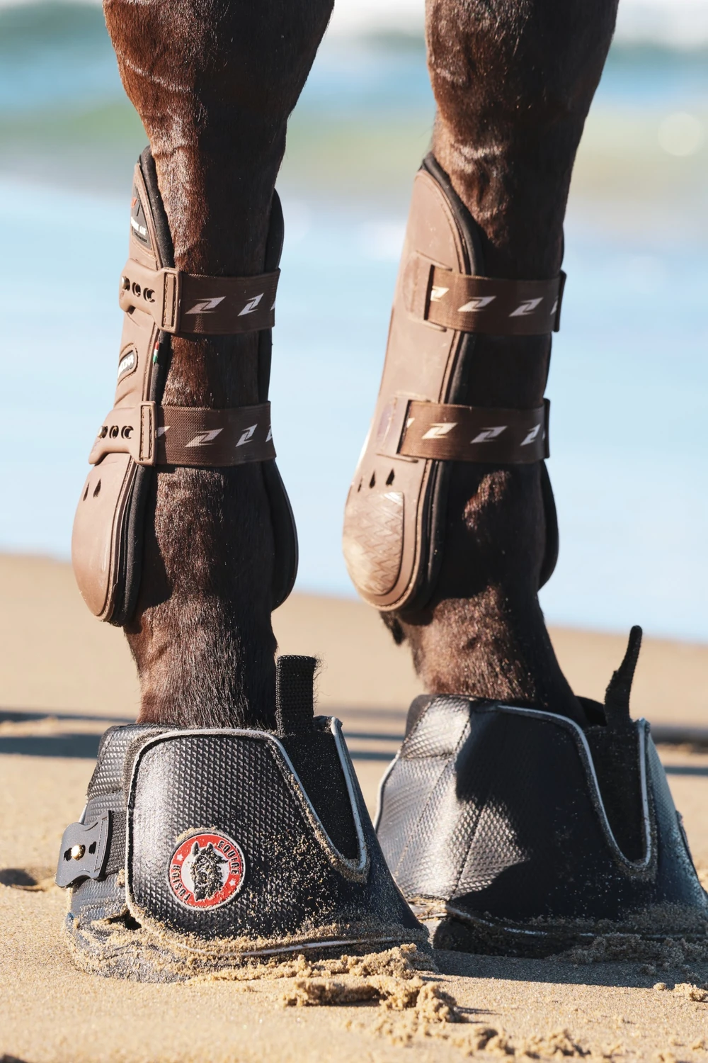Active Jogging Shoe fitted on a horse during outdoor riding
