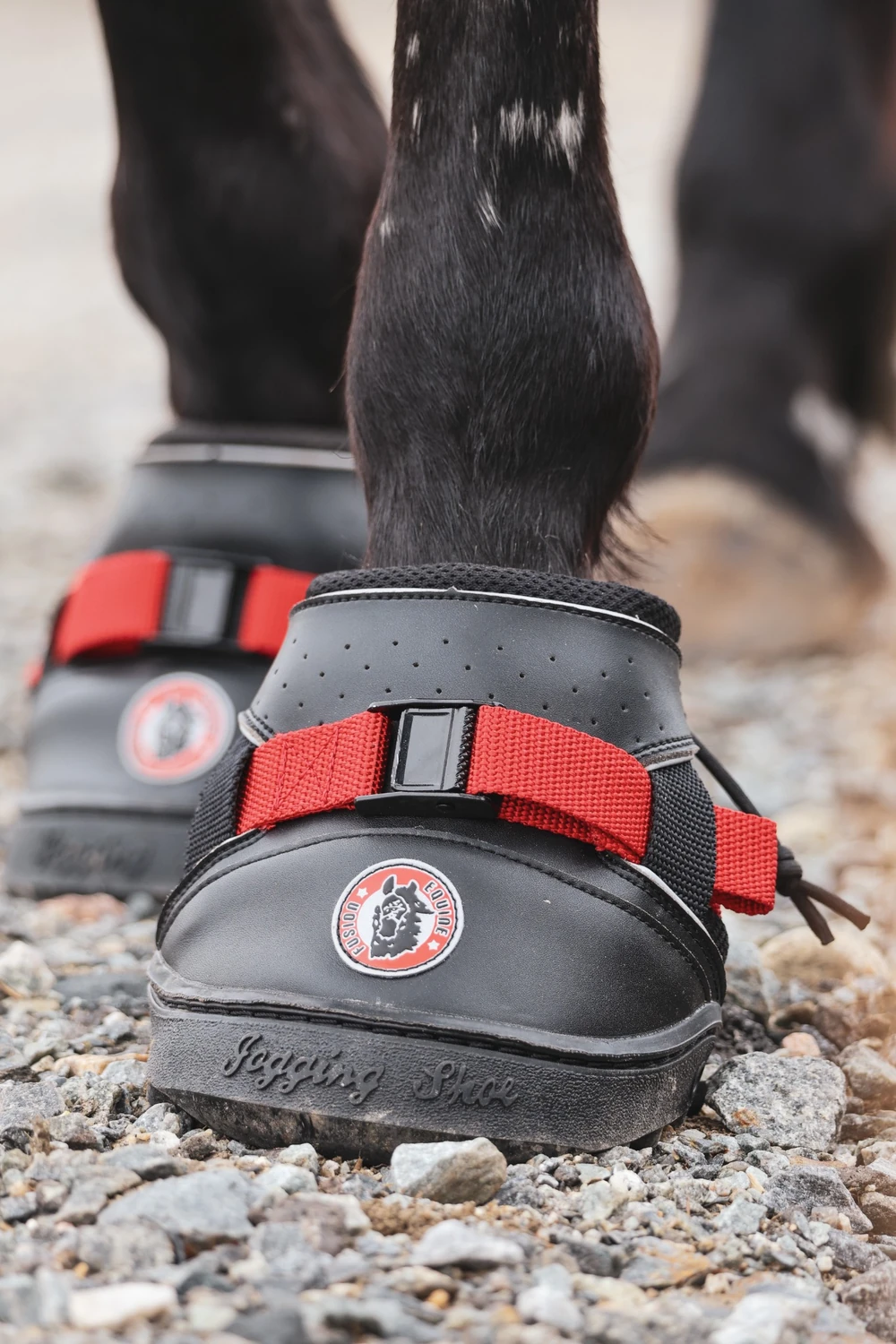 Ultra Jogging Shoe fitted on a horse during outdoor riding