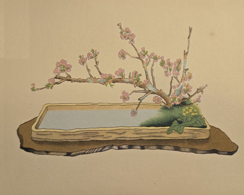 Illustration of a Moribana Kansui-kei (Water-Reflecting Moribana) arrangement by Houn Ohara, circa 1951