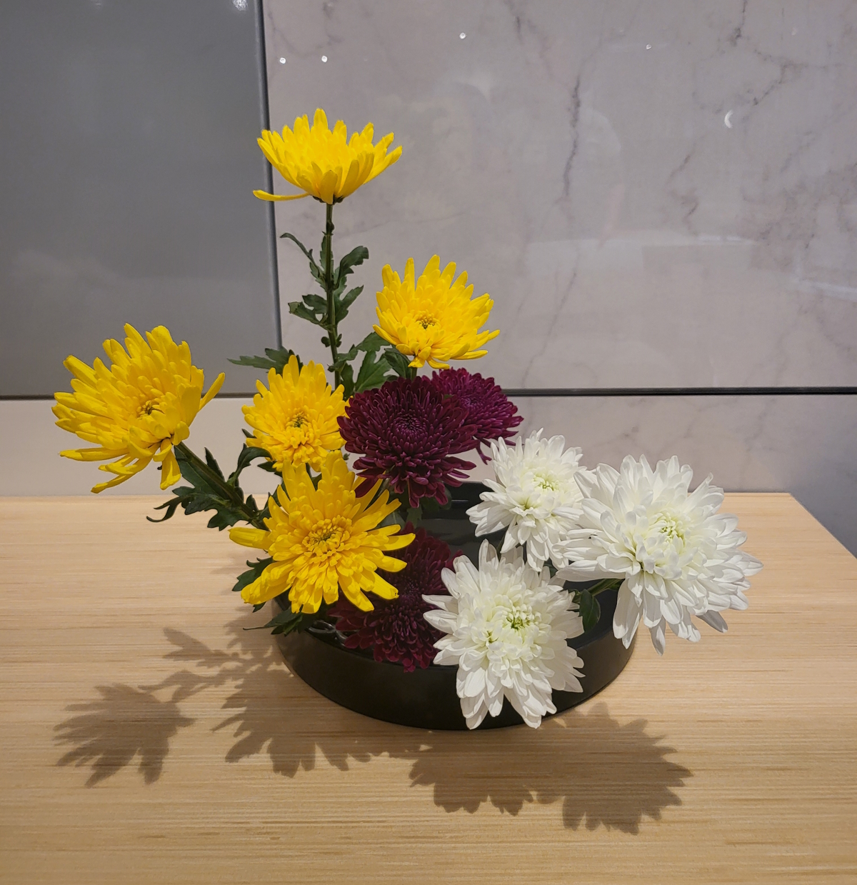 Three-color chrysanthemum Moribana arrangement by Kiyoichi Kamo-sensei, featuring yellow, deep red, and white chrysanthemums in a low black container.
