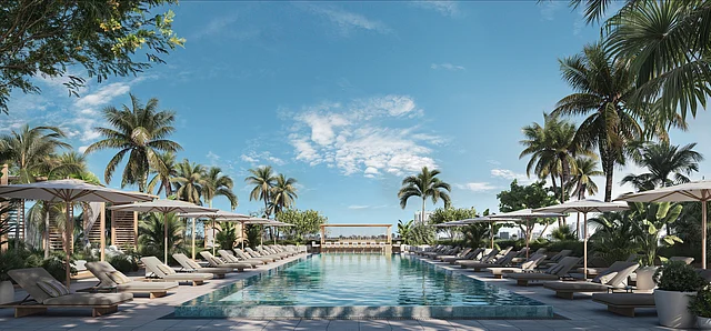 Luxury pool with lounge chairs and palm trees in Wynwood Miami