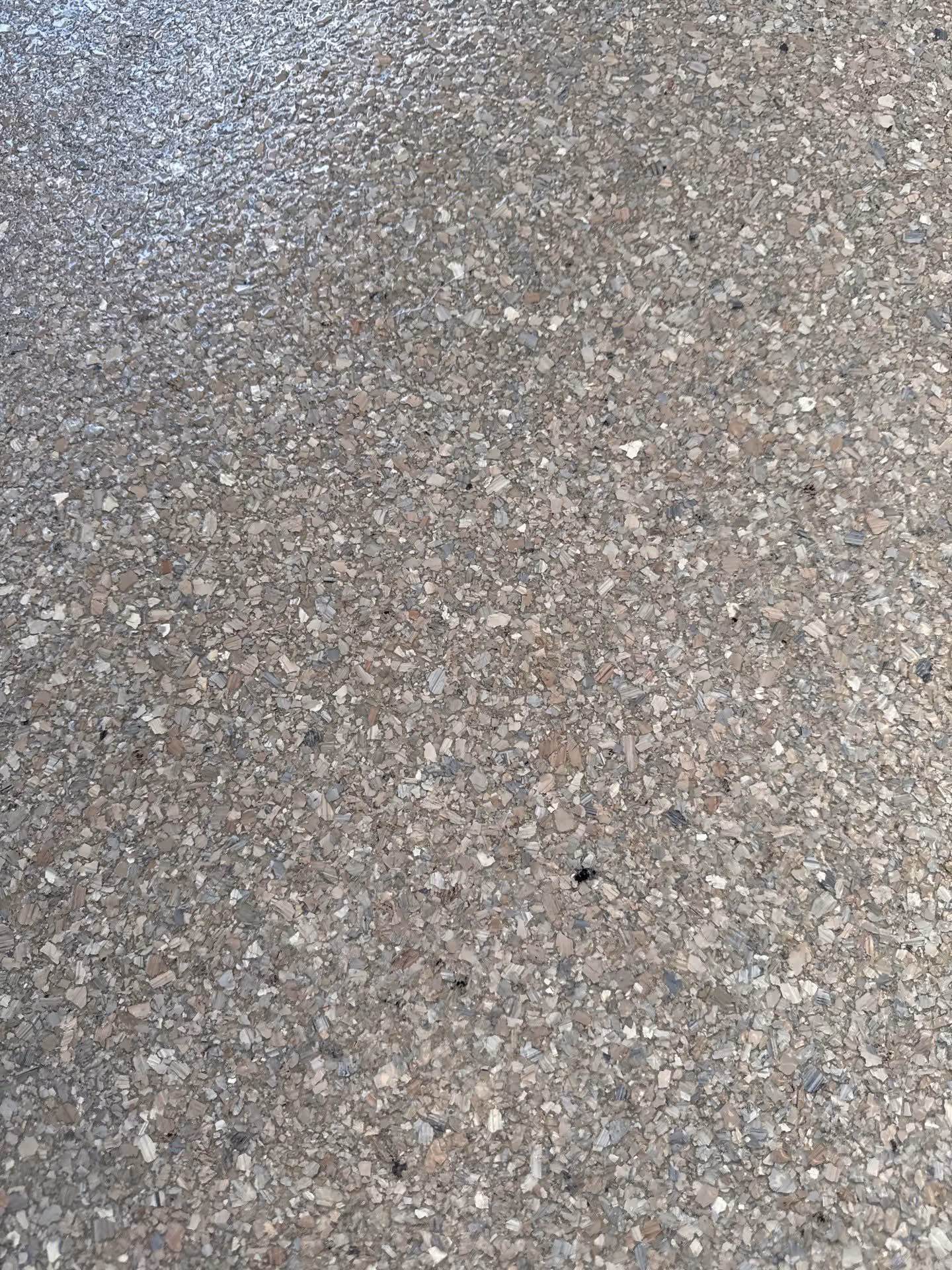 Fieldstone Enviroflake epoxy flake floor by Cascade Concrete Coatings