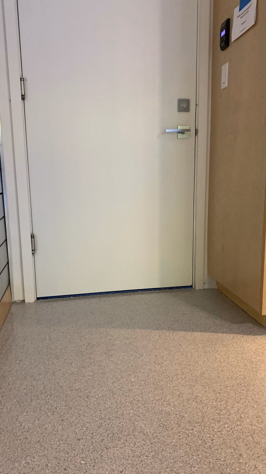 Limestone Hybrid Terrazzo epoxy flake floor by Cascade Concrete Coatings