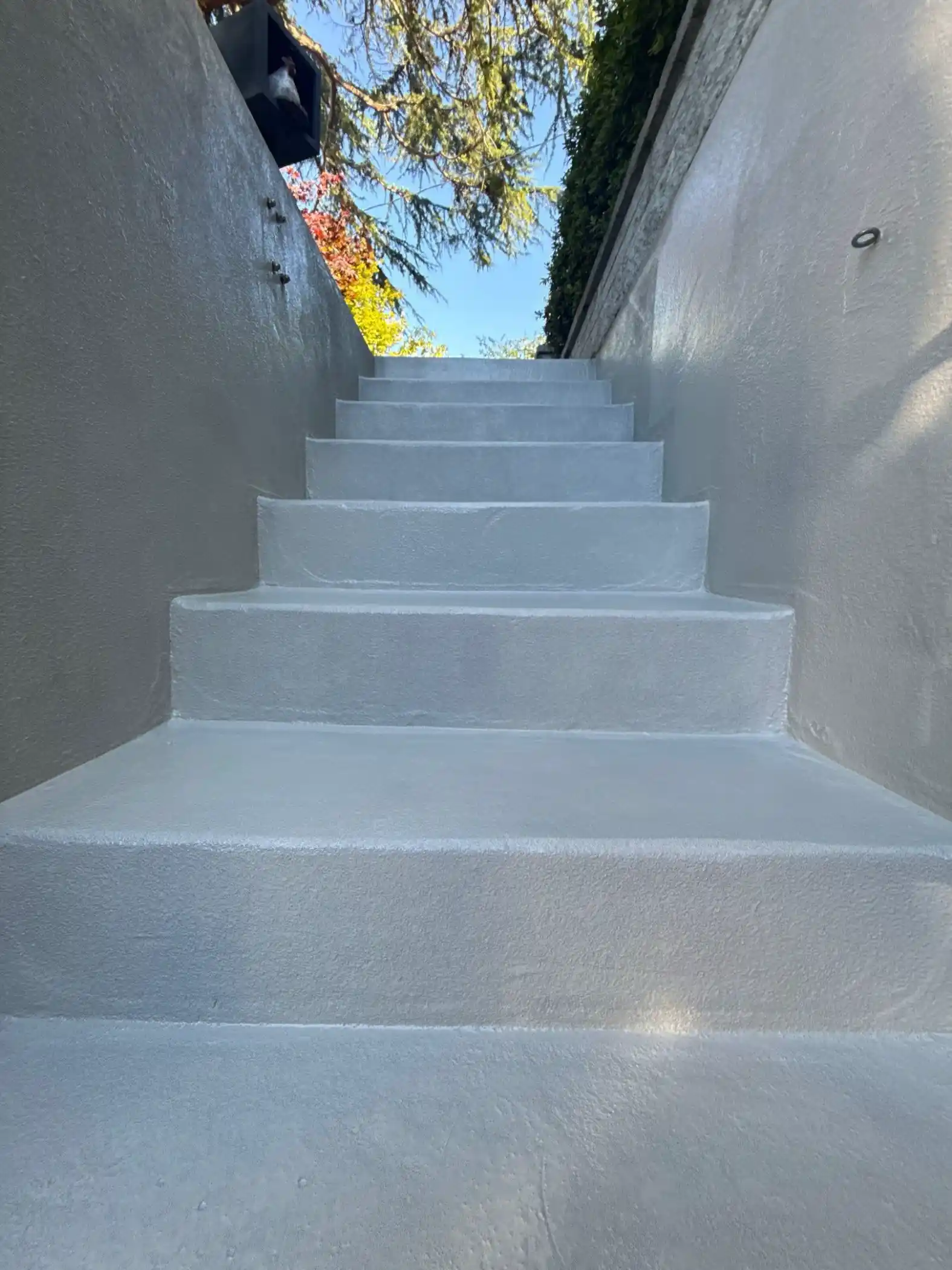 Long concrete staircase coated in solid Light Grey polyurea at a Seattle home