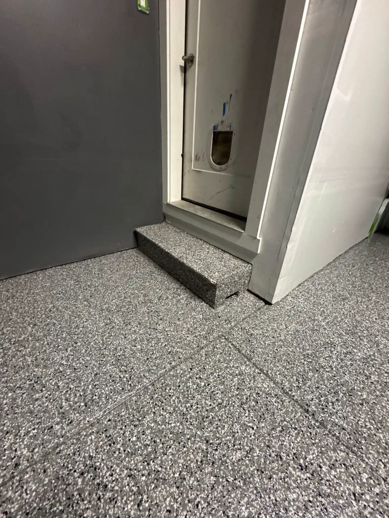 Coated entry step and Smoke flake floor at the house door in a Bothell garage