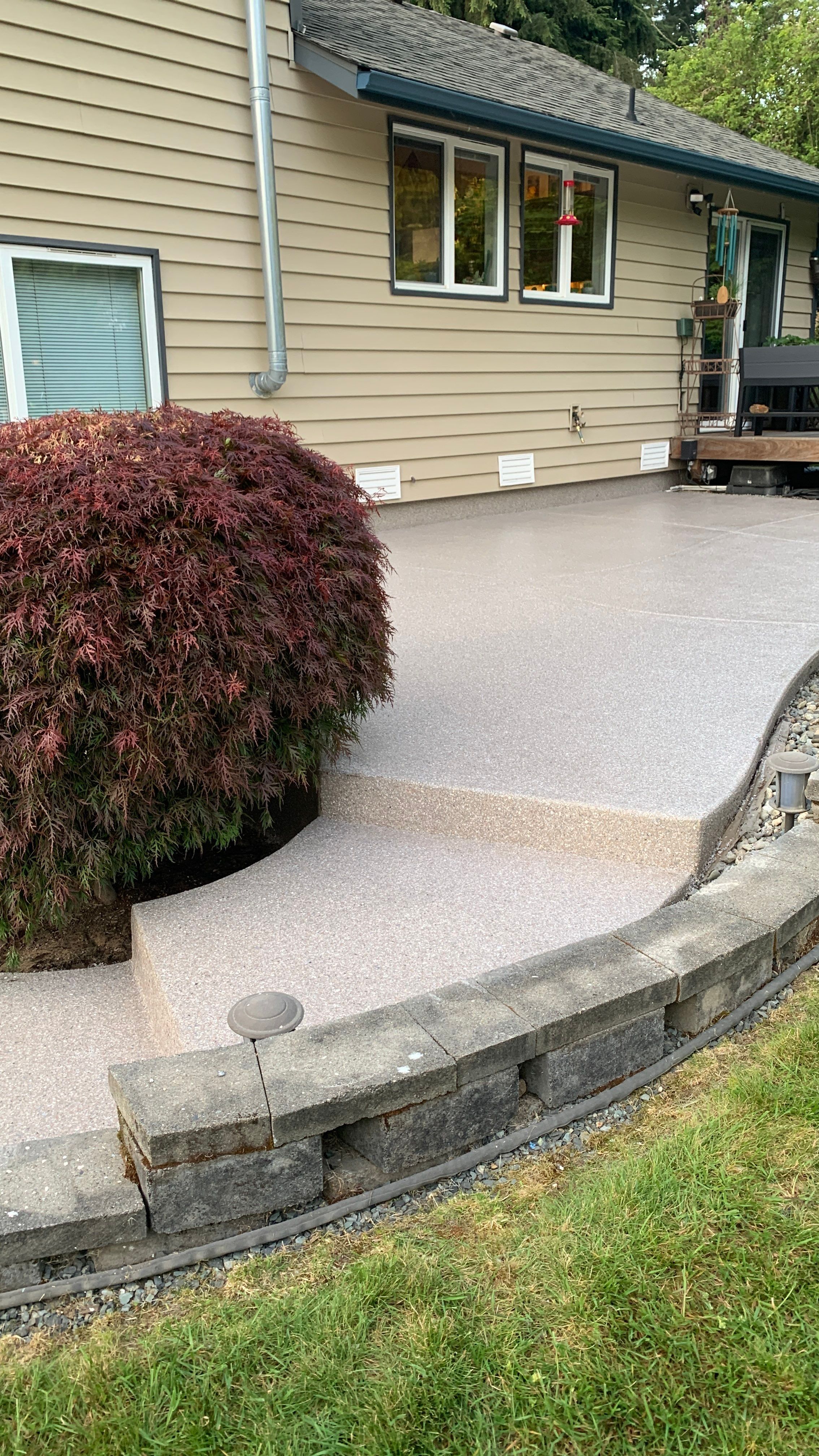 Curved Fieldstone flake patio and step beside a Japanese maple at a Snohomish home