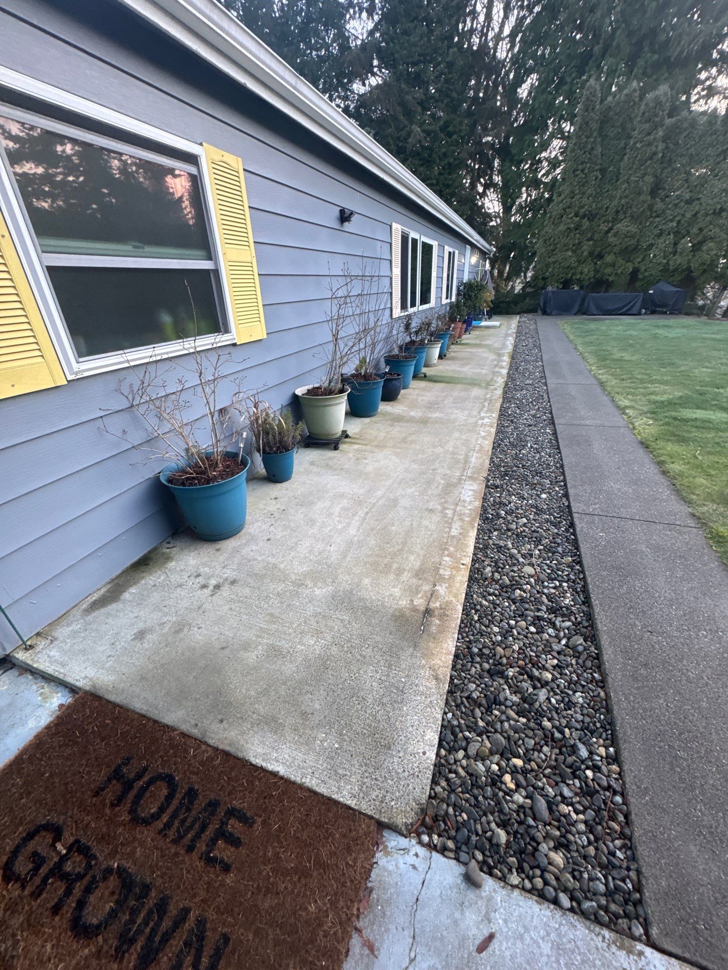 Bare concrete side walkway along a blue-grey Bothell house before coating