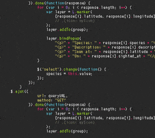 Website Code